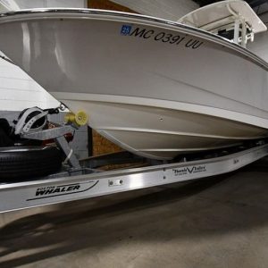 2022 Boston Whaler 250 Dauntless