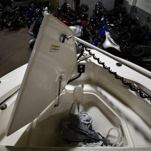 2022 Boston Whaler 250 Dauntless