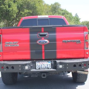 2014 Ford F-150 Shelby Baja Raptor