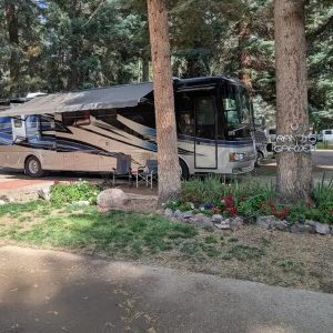 2009 Monaco Diplomat 41SKQ