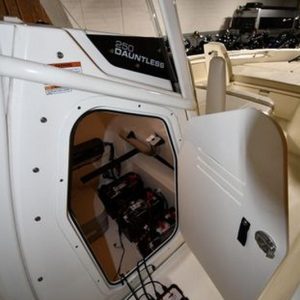 2022 Boston Whaler 250 Dauntless