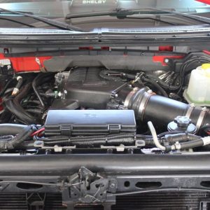 2014 Ford F-150 Shelby Baja Raptor