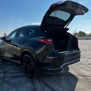 2022 Lexus NX 450h+ F-Sport