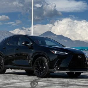 2022 Lexus NX 450h+ F-Sport